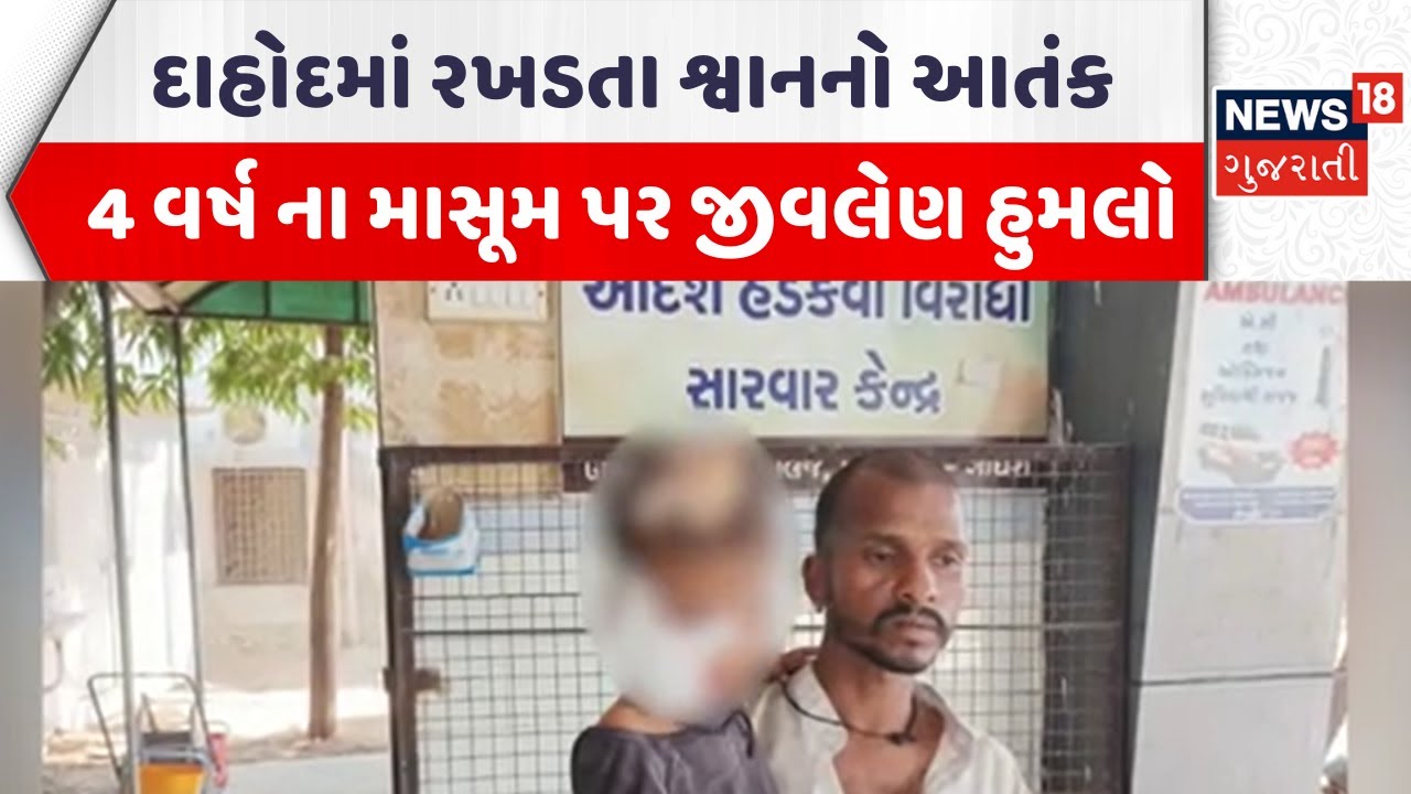 Dahod Stray Dog Attack | દાહોદમાં રખડતા શ્વાનનો આતંક, 4 વર્ષ ના માસૂમ પર જીવલેણ હુમલો |Gujarati News