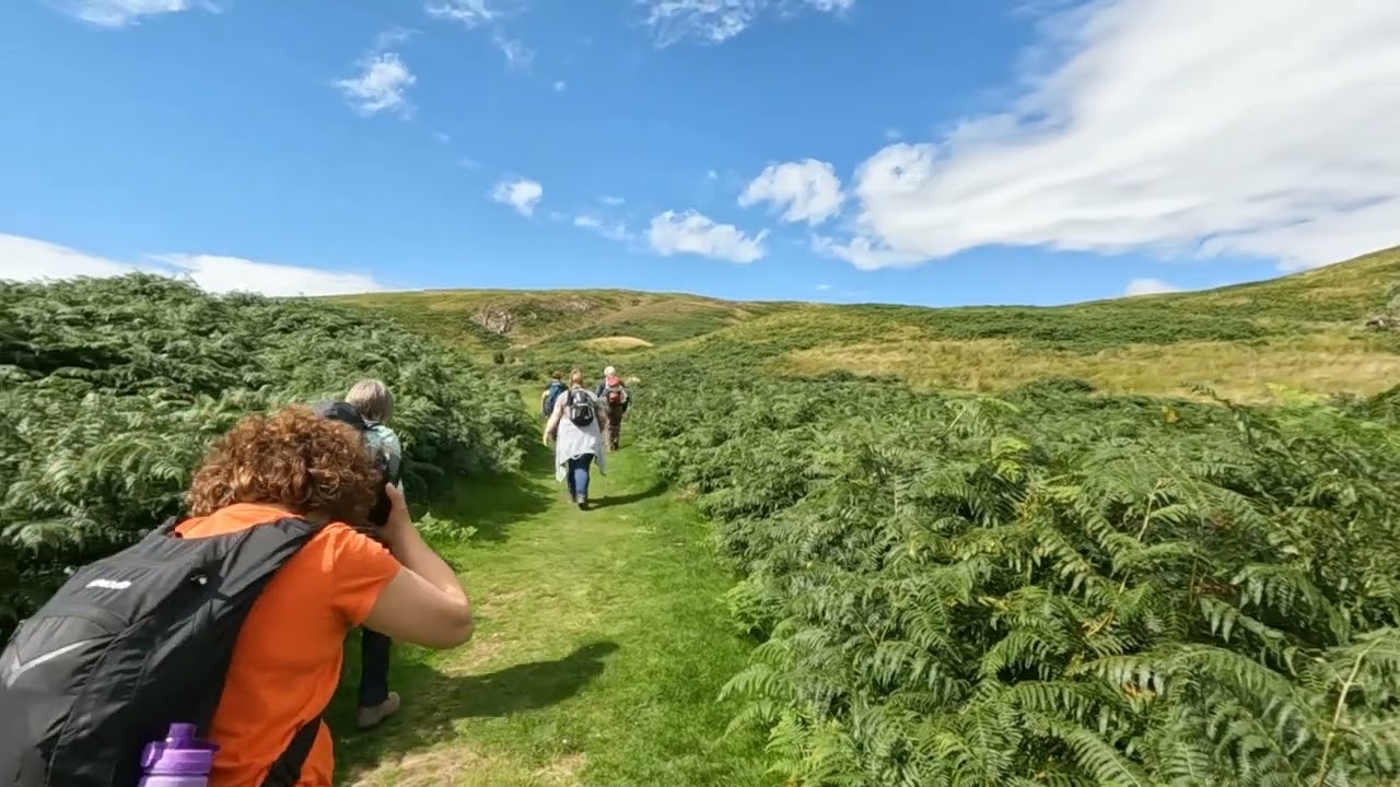 Wooler Common, Humbleton Hill and Harehope a Walk with Interesting Walks NE.  7.3 miles