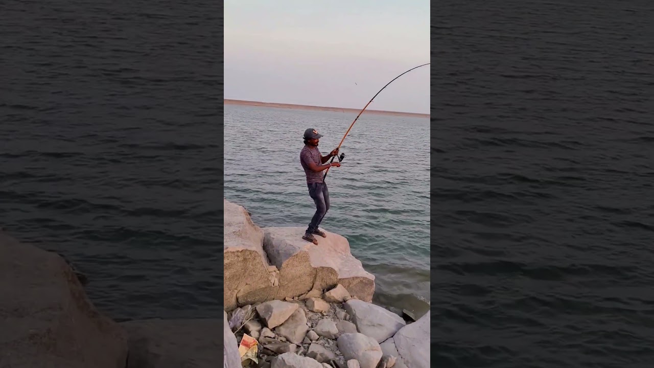 big sized patan fish missing 