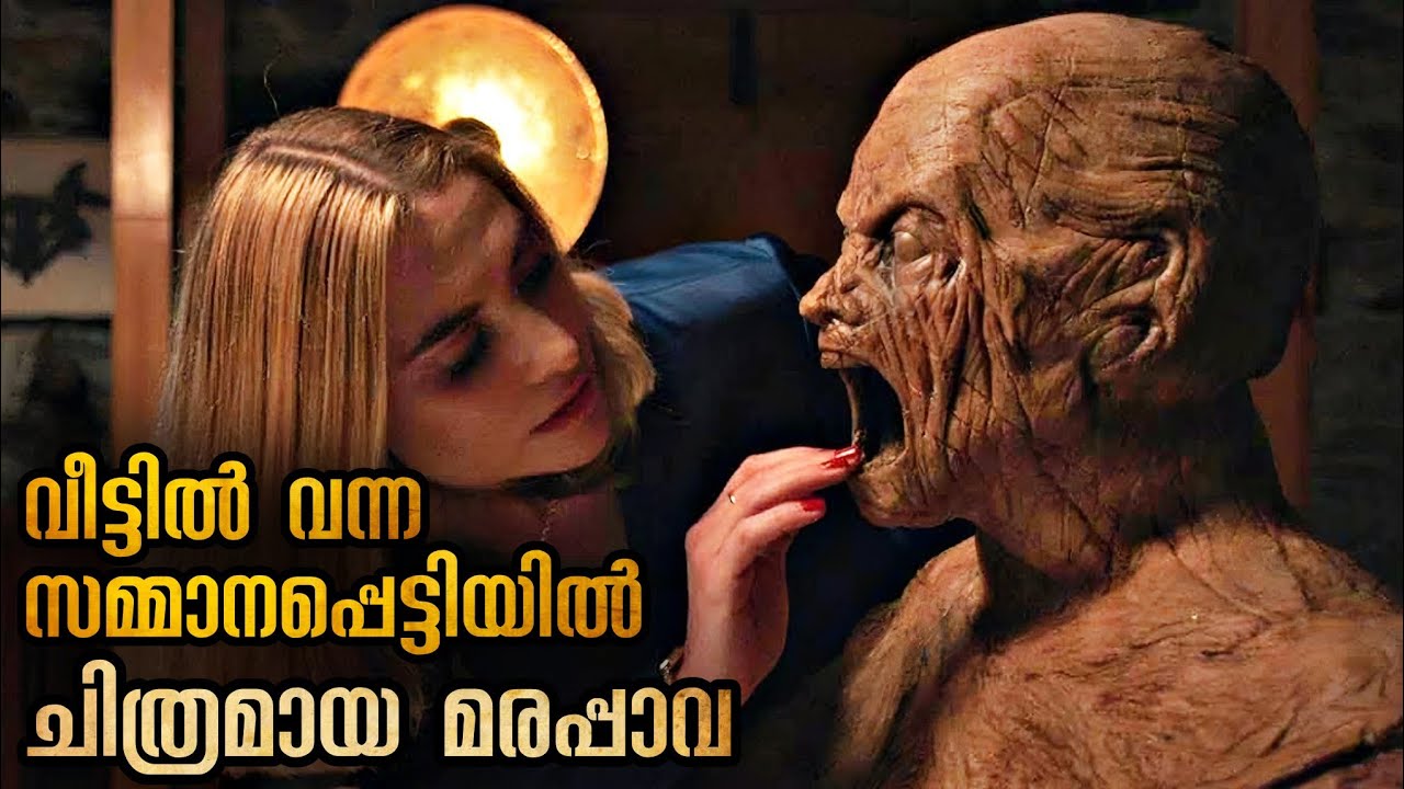 കണ്ണു കാണാത്ത പെൺകുട്ടി തെളിയിച്ച കൊലപാതകം; വിചിത്രമായ മരപ്പാവ @malluexplainer185