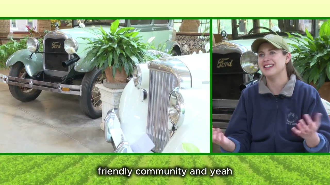 Tembea Kiambu Agritourism – Experience the Serene Beauty of Nature