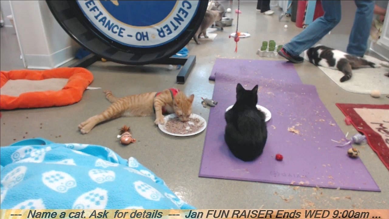 FFRC 20170111 Spiker eating