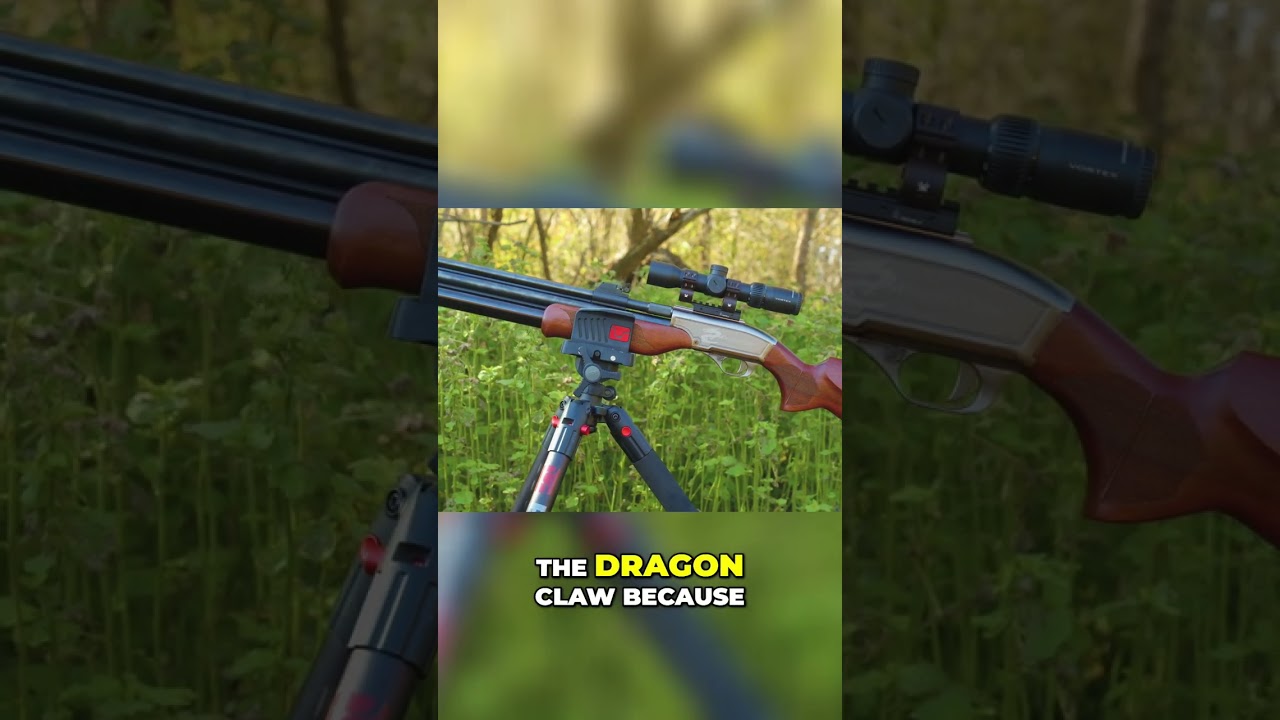 Hunter's Epic Hunt: Dragon Claw vs. Big Buck Showdown! #shorts