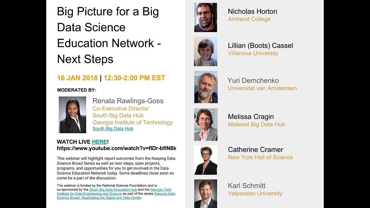 Big Picture for a Big Data Science Education Network - Next Steps