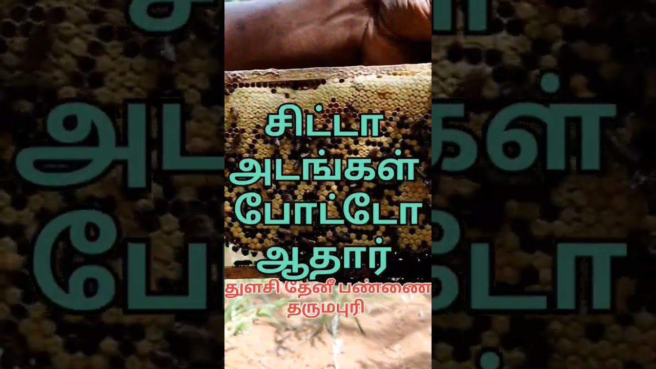 Free honey bee box , இலவசமாக தேனீ பெட்டி உங்களுக்கு வேண்டுமா #agriculture #honey #beelove