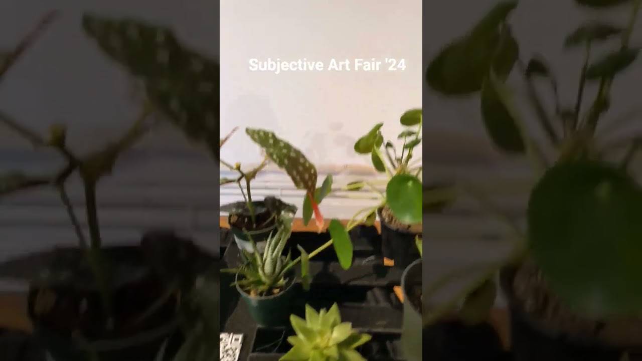 Flashback to Subjective Art Festival 2024 