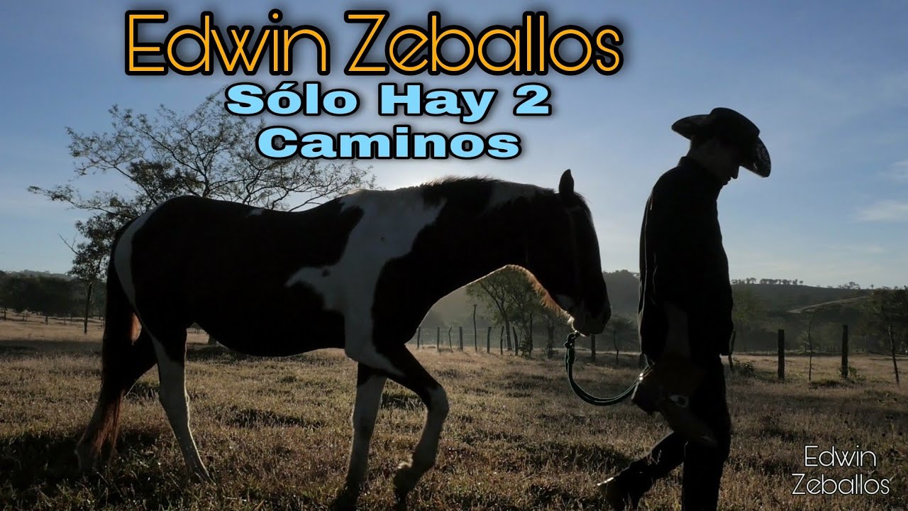 Sólo Hay Dos Caminos -Edwin Zeballos