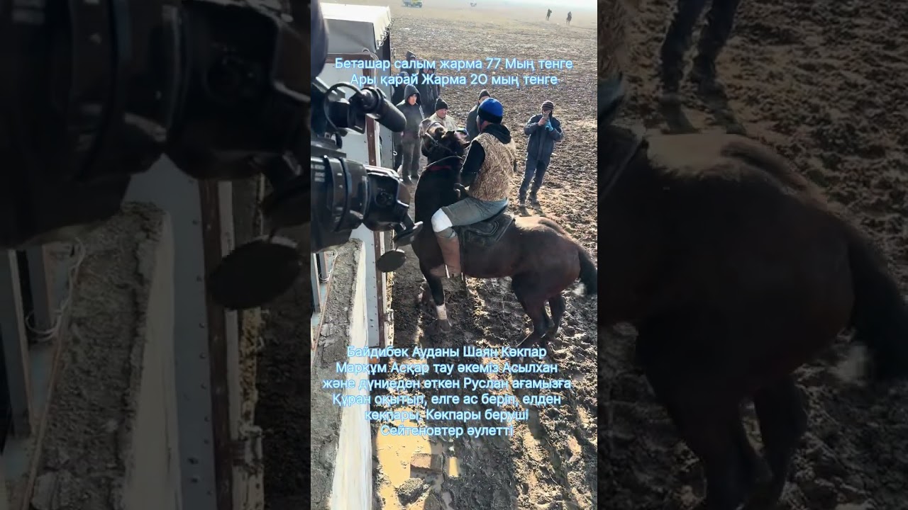 Байдибек ауданы Шаян Көкпар