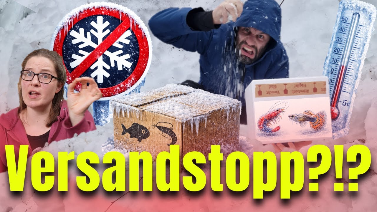 Hilfe die Tiere erfrieren!?! - Wann kommt ENDLICH mein Paket?!