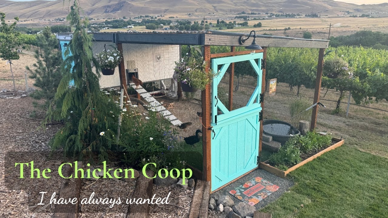 DIY Chicken Coop Tour | The Coop I&rsquo;ve Always Wanted! 🐓🌿 | My Dream Setup for Happy Hens & Ducks. 🦆