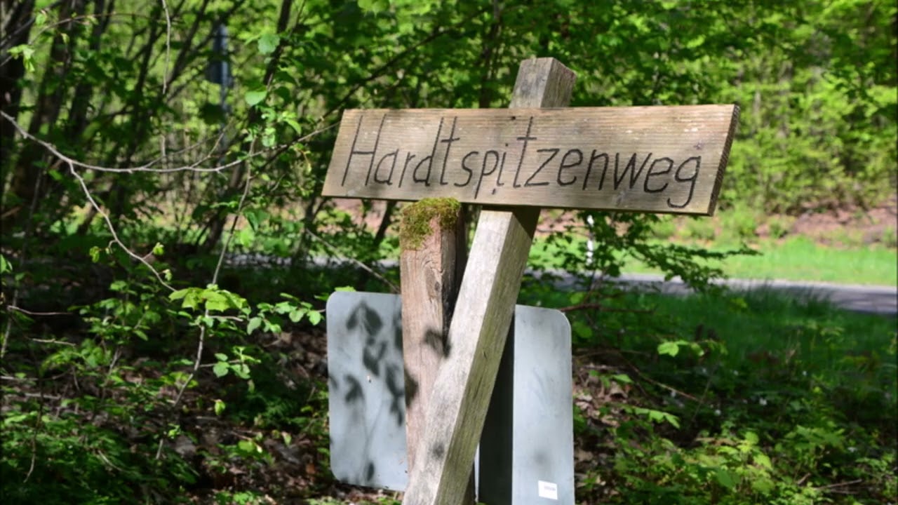 Neckarland SW 7: von Oberstenfeld nach Marbach am Neckar
