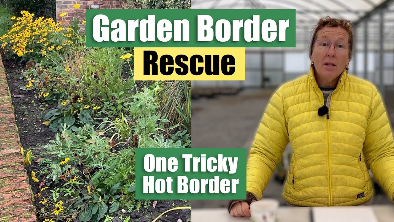 A Tricky 'Hot Border' That Isn't Quite Working | Rosy Rescues a Problem Garden Border #2