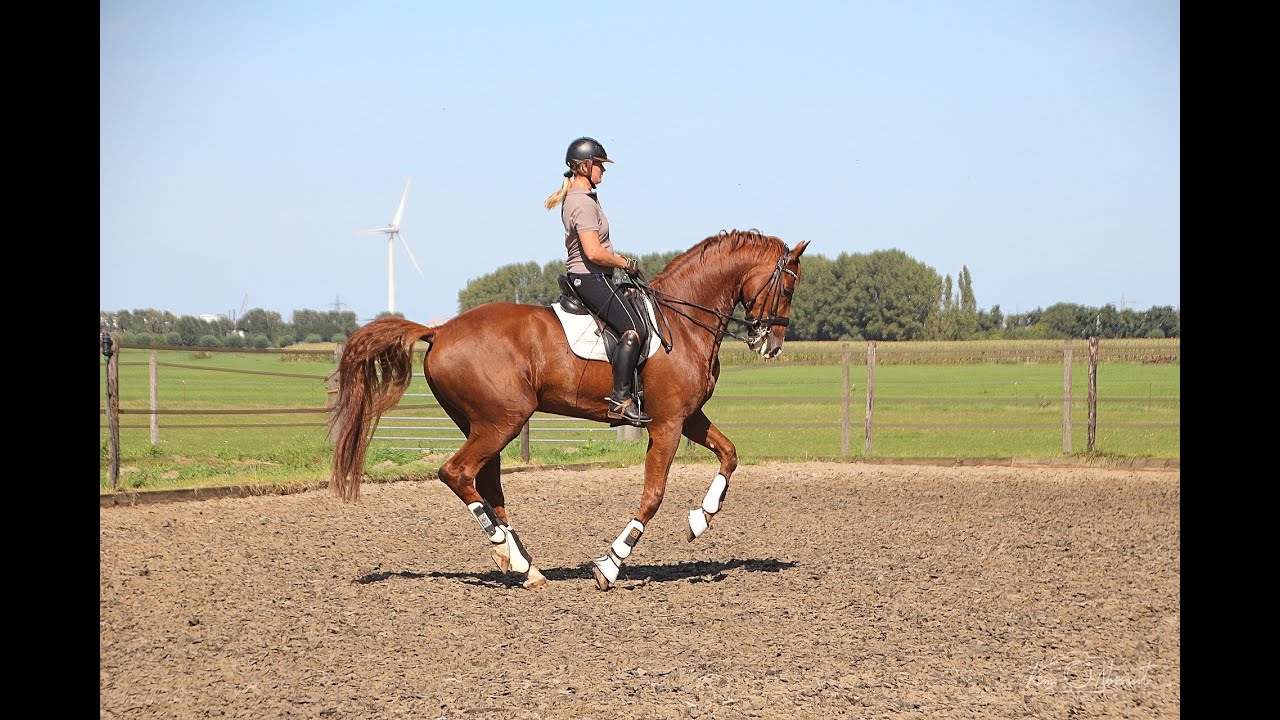 proefgerichte clinic ZZ licht Mathie Boomaars