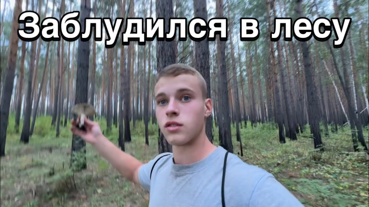 Переехал жить в лес | не спал всю ночь,ради этого…