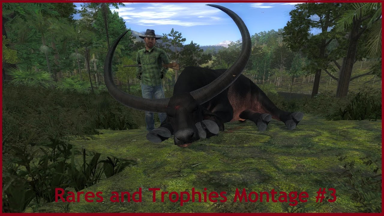 Rares and Trophies Montage #3 (theHunter Classic)