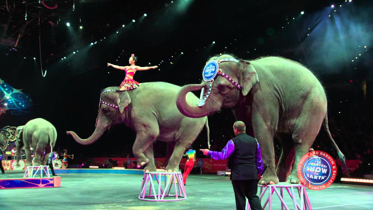 Ringling Bros. Presents LEGENDS - Pachyderm Performers!