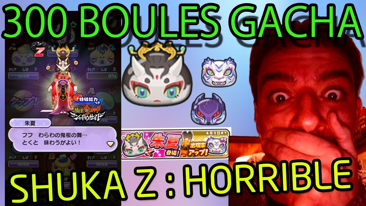 SHUKA Z 300 BOULES AU BINGOKAI ??? - PUNI PUNI 165