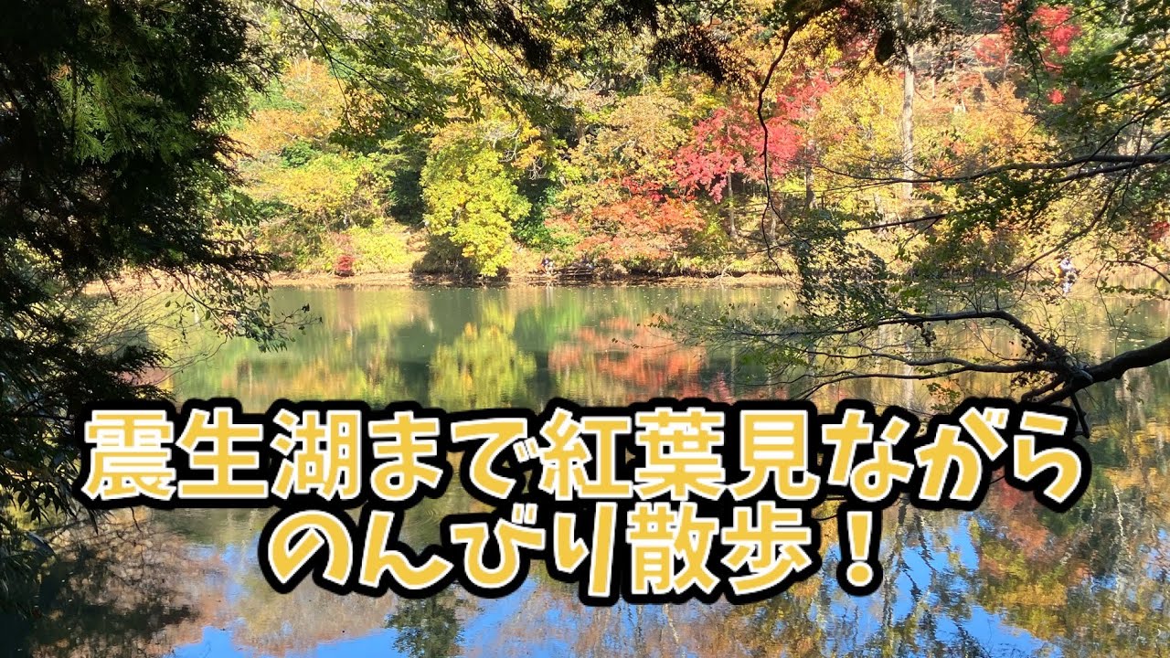 20251124 震生湖まで紅葉見ながらのんびり散歩！