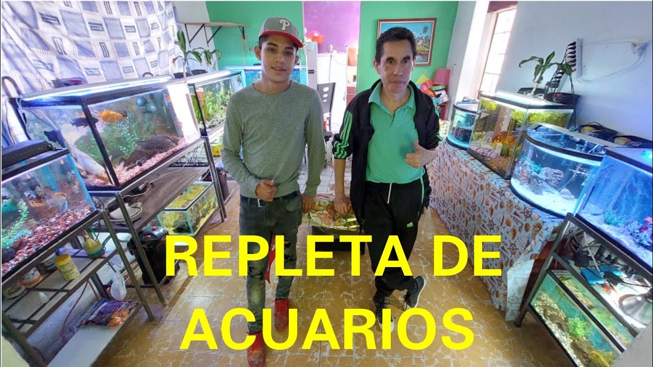 OSCAR Y SUS PAREDES REPLETAS CON INCREIBLES ACUARIOS PLANTADOS Y MARINOS