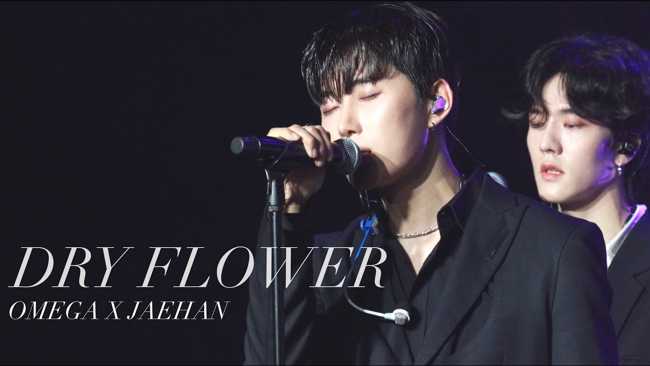오메가엑스 OMEGA X - DRY FLOWER 재한 Focus [20230630 오메가엑스 2주년 팬미팅 2ND MINI FAN-MEETING]