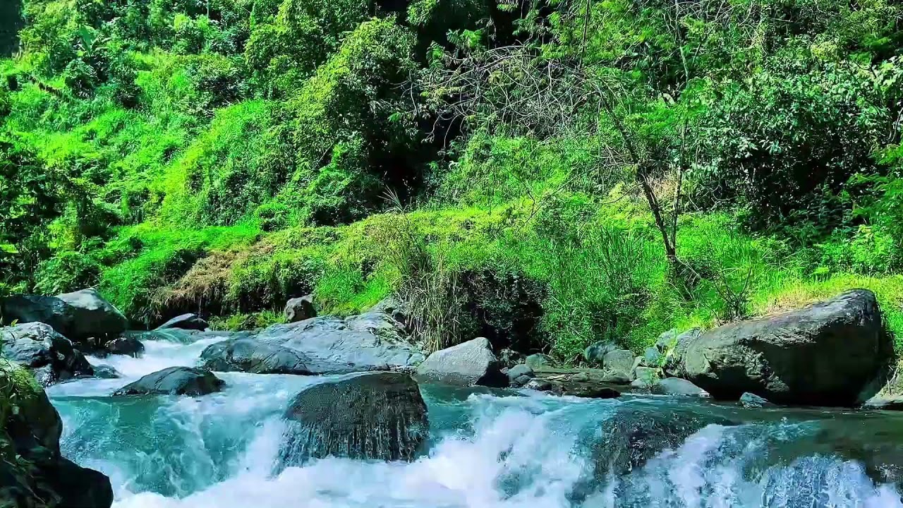 Natural flowing river sounds for meditation