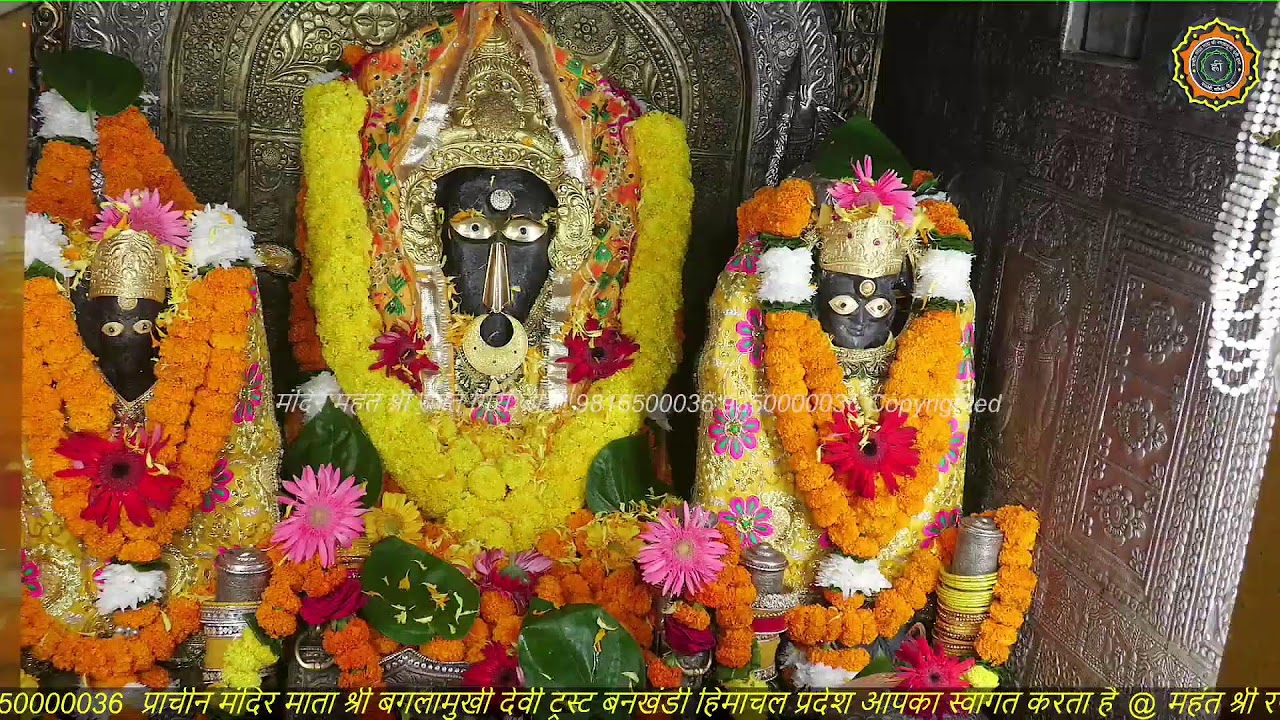 Maa Baglamukhi Official_Live Darshan_mahant shree Rajat giri ji_