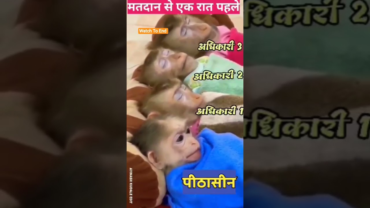 Election ke ek din pahle Sabhi Padhadhikari Ki Isthithi 