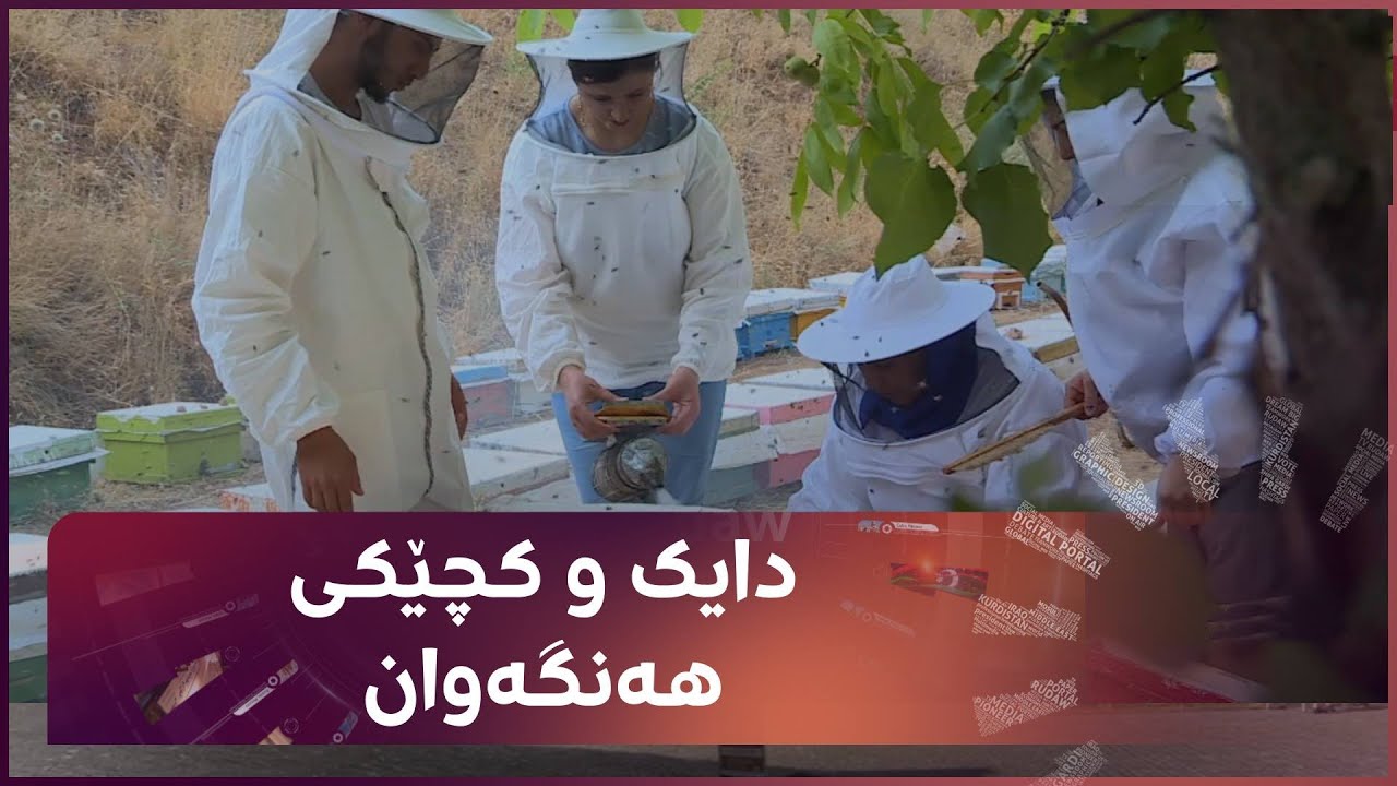 دایک و کچێکی هەنگەوان