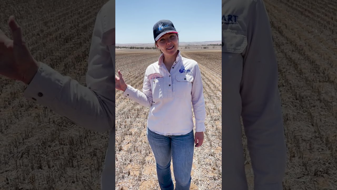 Ag Research - the seasonal timeline | Episode 5 | A day in the life