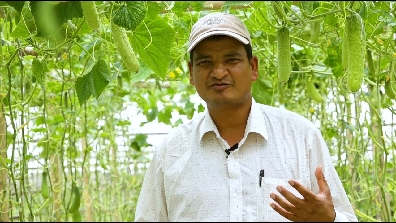 तरकारी खेती बाट वार्षिक २ करोड आम्दानी