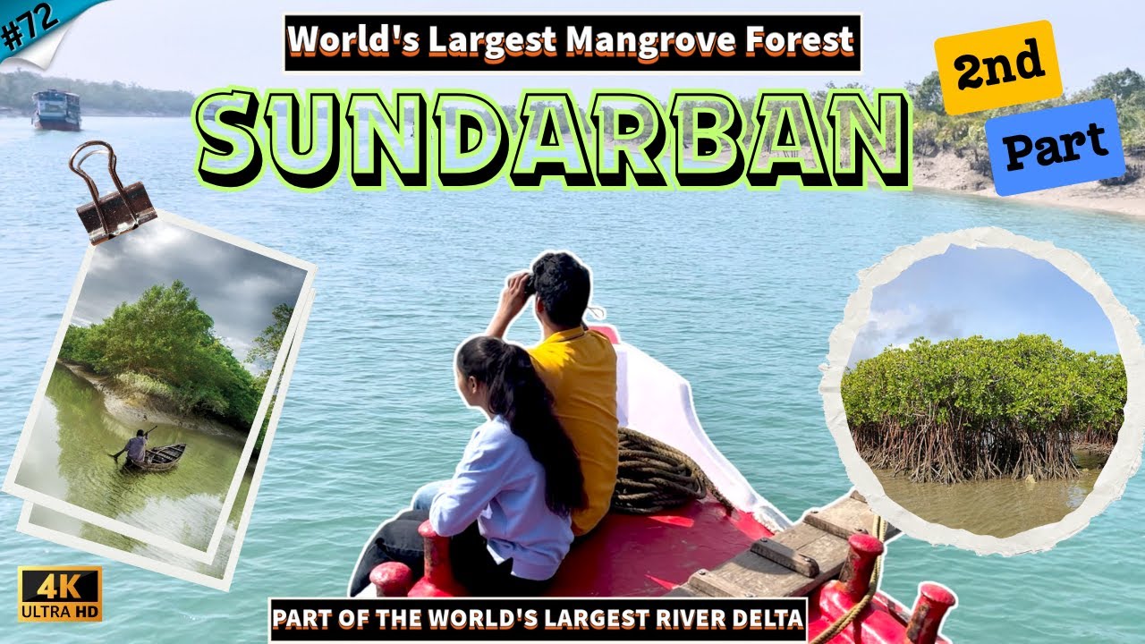 Sundarban Safari: Spotting Tigers in the World’s Largest Mangrove Forest | 2nd Part | 4K