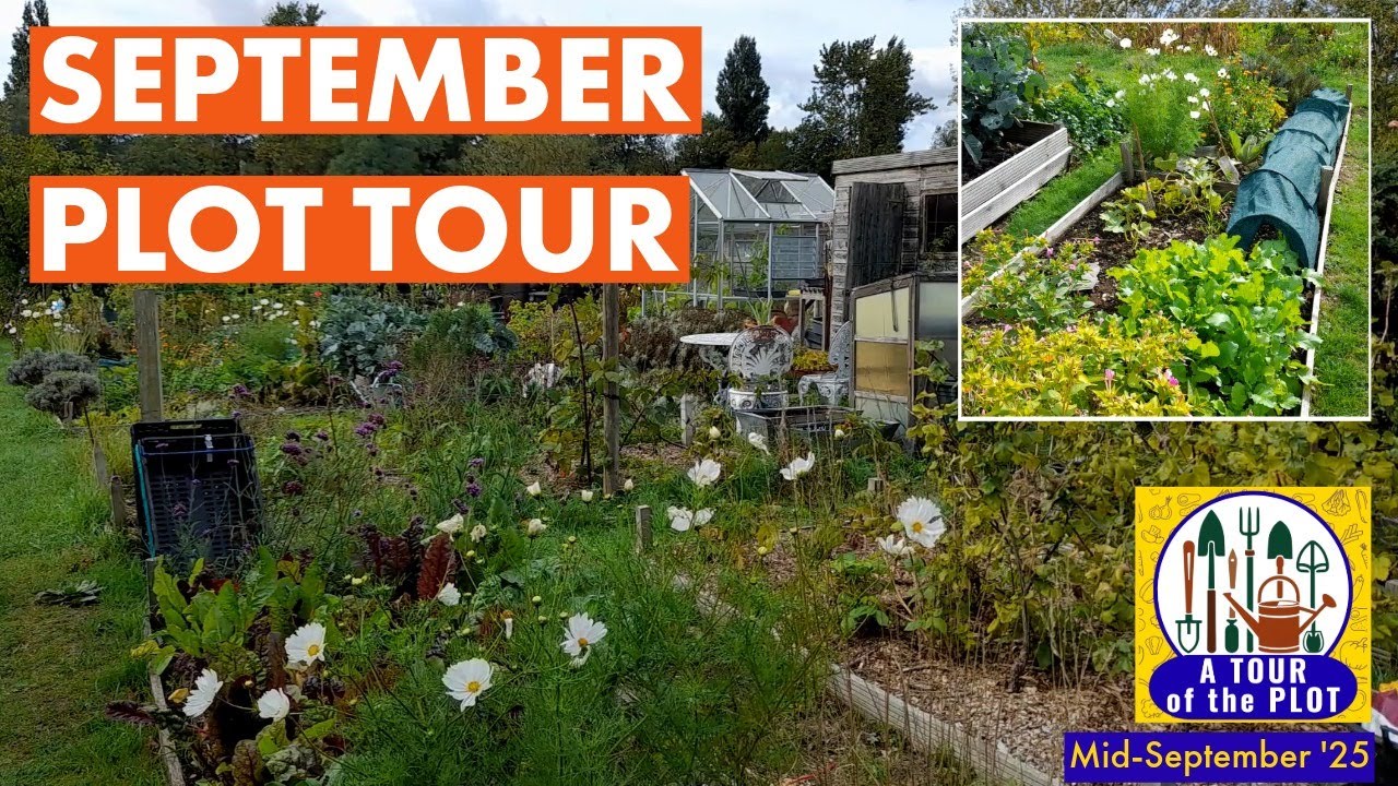 Allotment Plot Tour - Mid-September '25