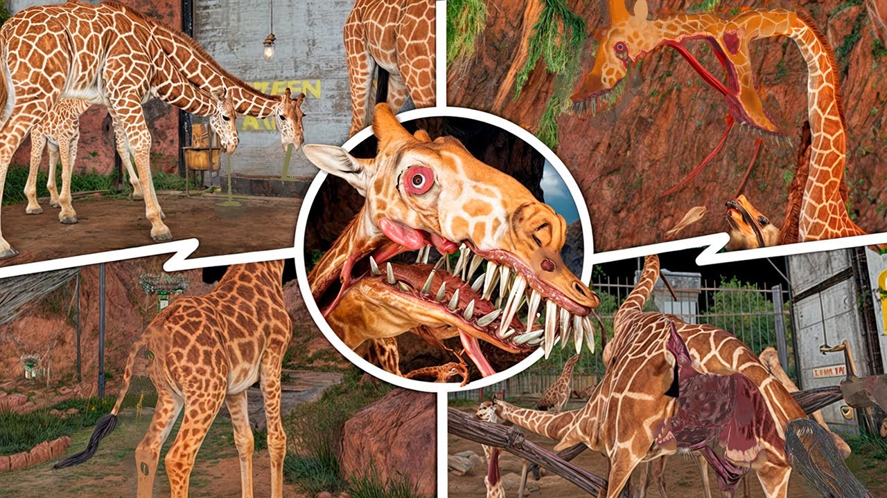ZOOCHOSIS - Giraffe Bright Mode All Cutscenes (4K 60FPS Showcase)
