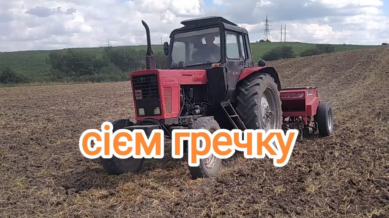 Ще 1експеримент в цьому році. сіємо гречку після озимого ячменю.