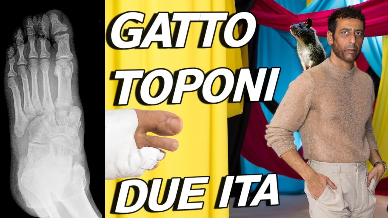 Gatto Toponi - Due Ita