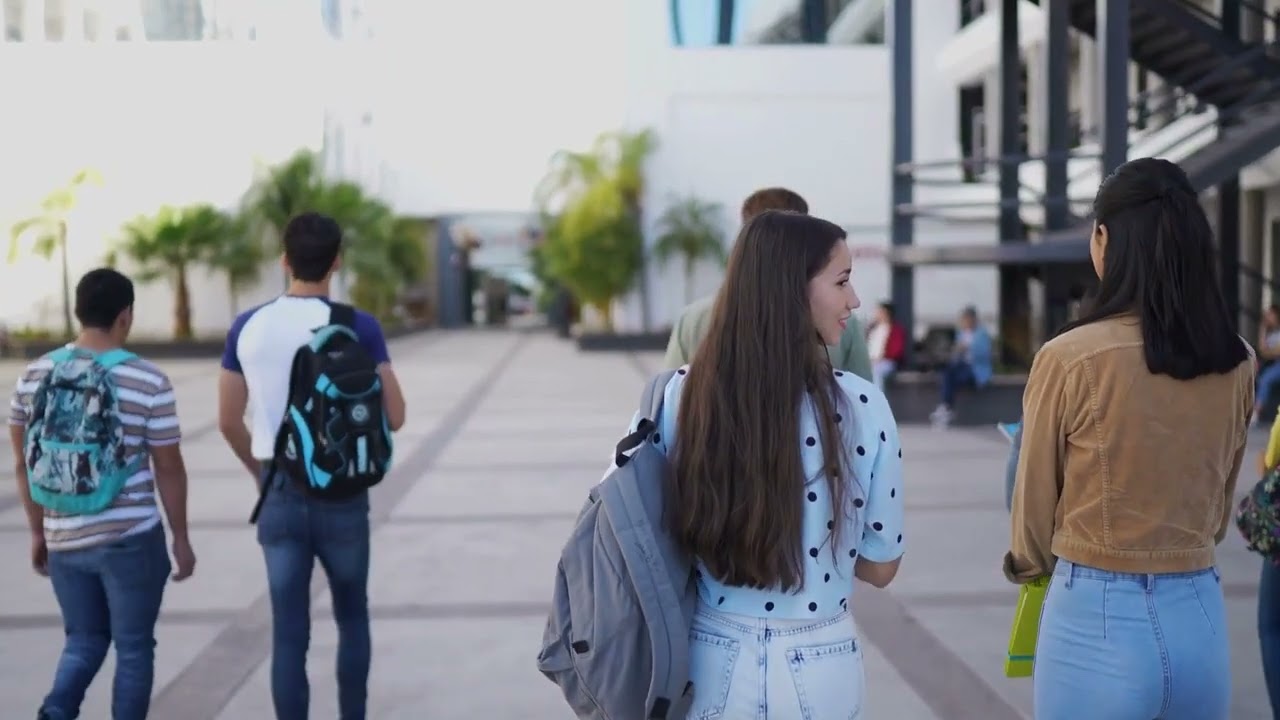 What Are The Differences Between TVET Colleges and Universities?