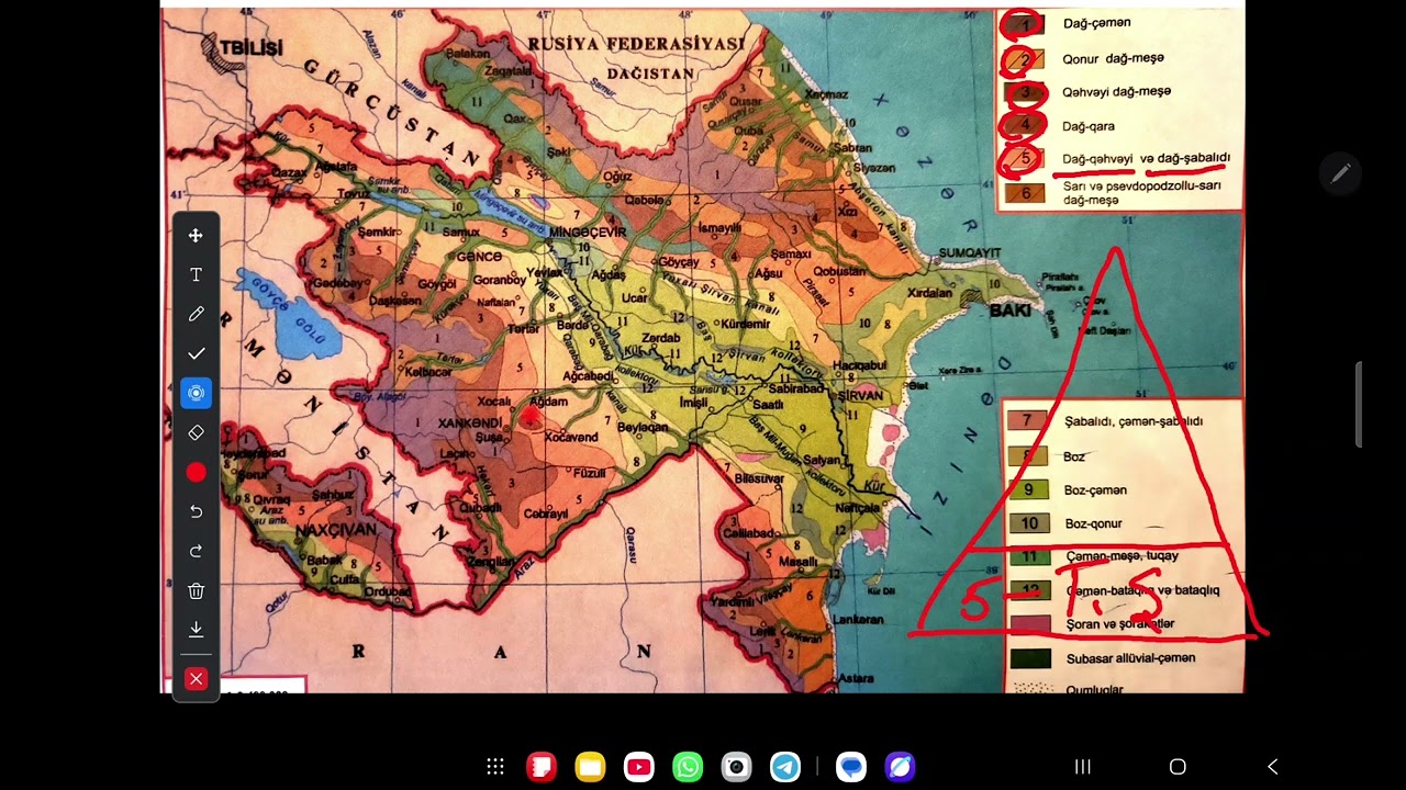 Azerbaycan torpaq bitki örtüyü heyvanat aləmi dərs izahı | Tərlan Rəcəbalıyev 051-649-86-87 