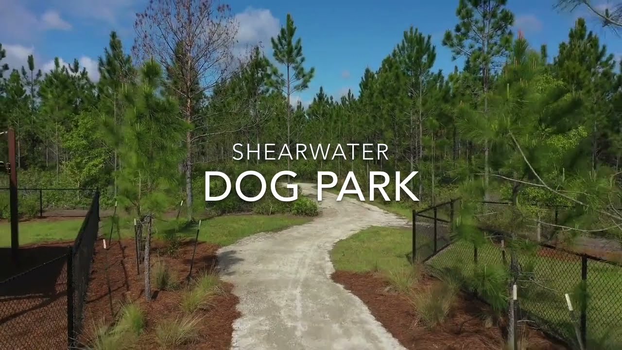 Shearwater Dog Park | Enjoy World-Class Amenities with Your Pet