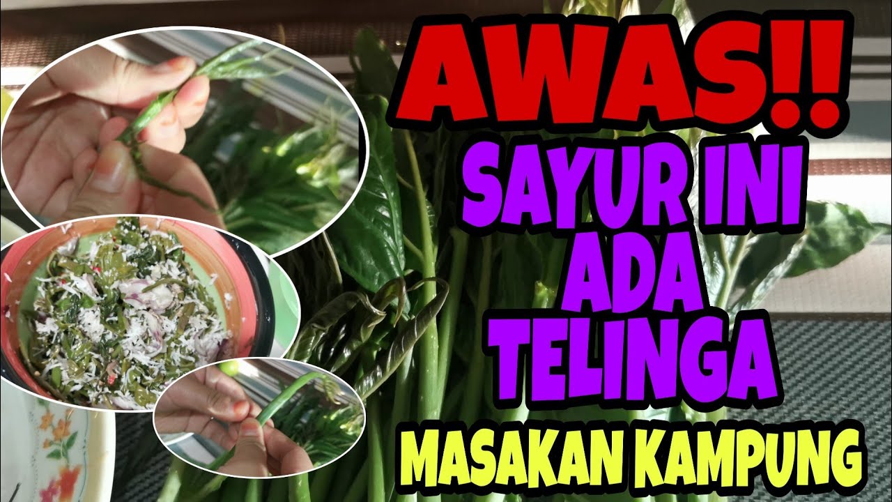Kerabu Sayur Bungor | Makanan Kampung