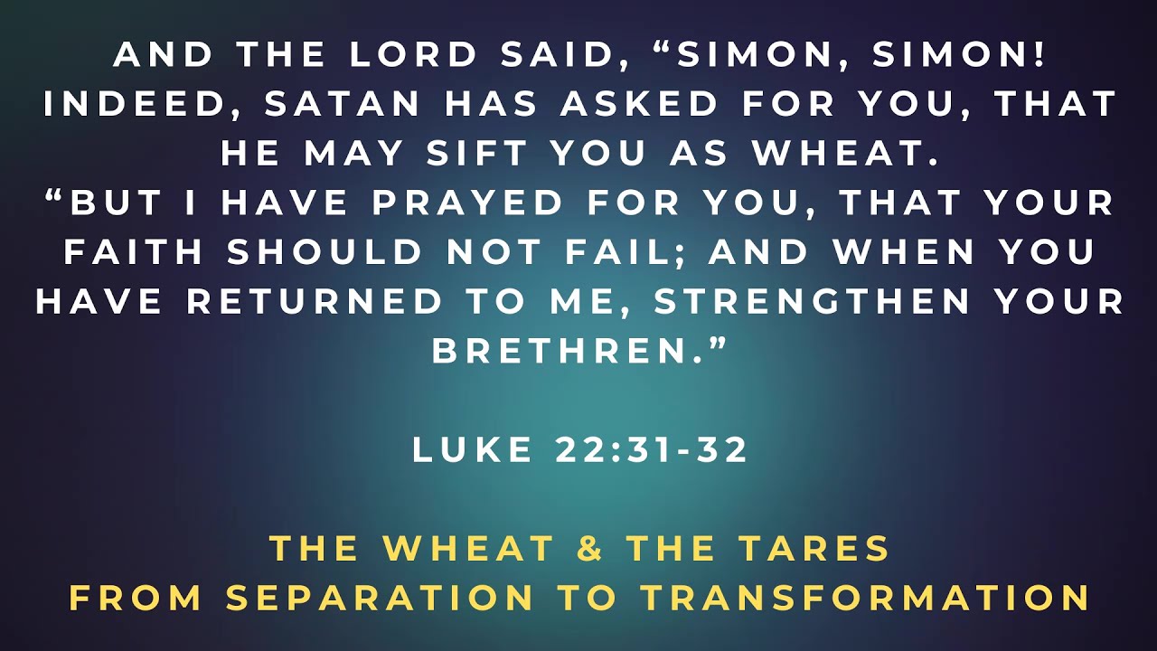 The Kingdom of Love | A Daily Devotional – [The Wheat & Tares - From Separation to Transformation]