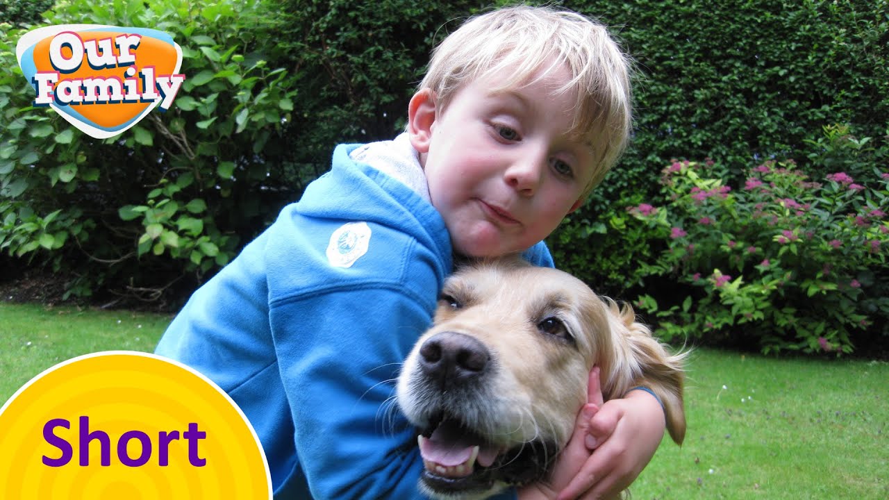 Sylvan Grooms his Dog | Our Family Shorts | CBeebies