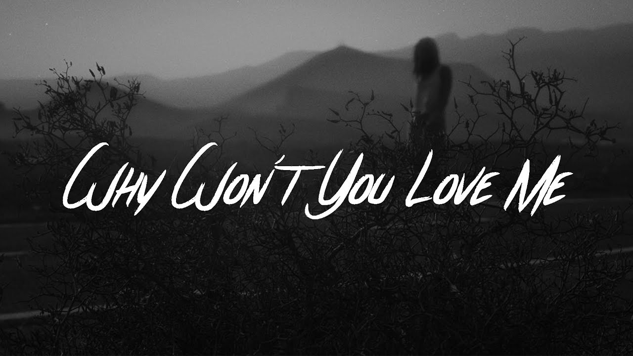 5 Seconds Of Summer - Why Won't You Love Me (Lyrics)