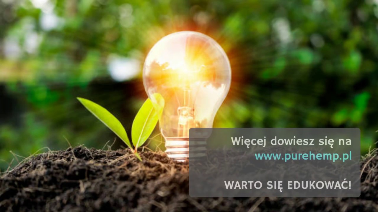 Układ Endokannabinoidowy - Klucz do zrozumienia istoty #CBD i kannabinoid&oacute;w w 1,5 minuty!