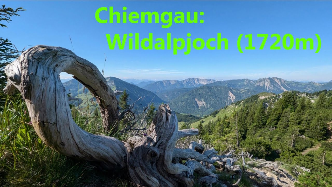 Wildalpjoch (1720m)