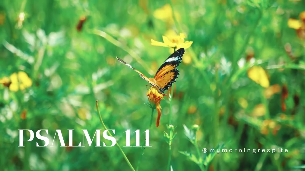 Psalms 111/ Book of Psalms 📖