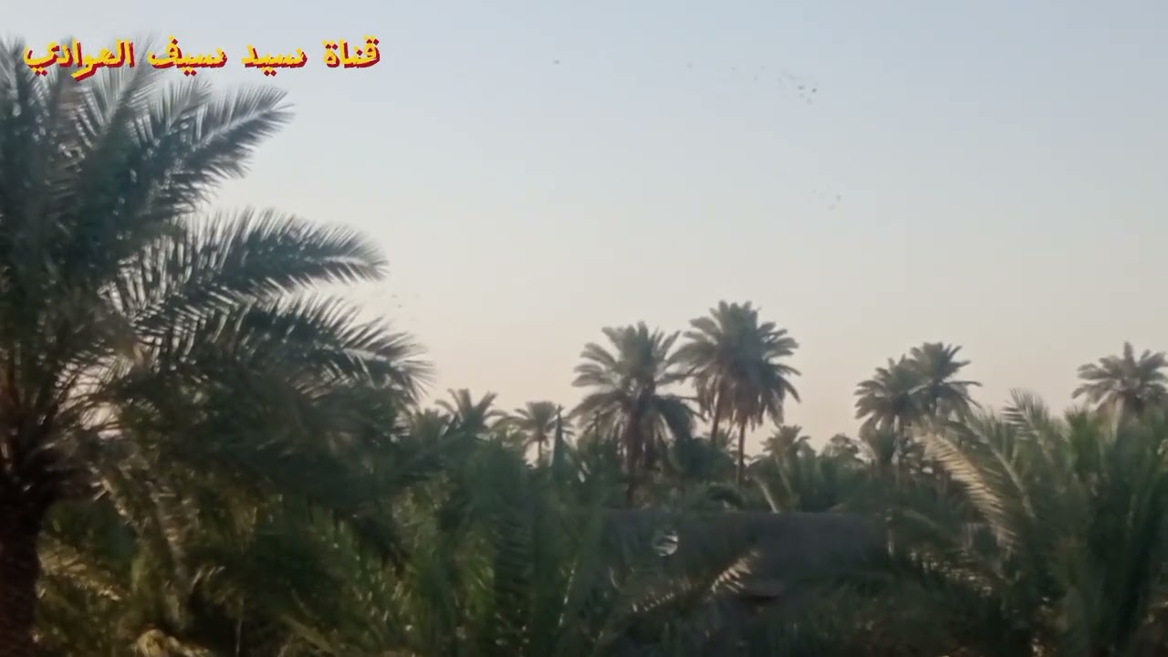 @فيديو جديد وأداء ولا اروع بتاريخ 2025/9/22