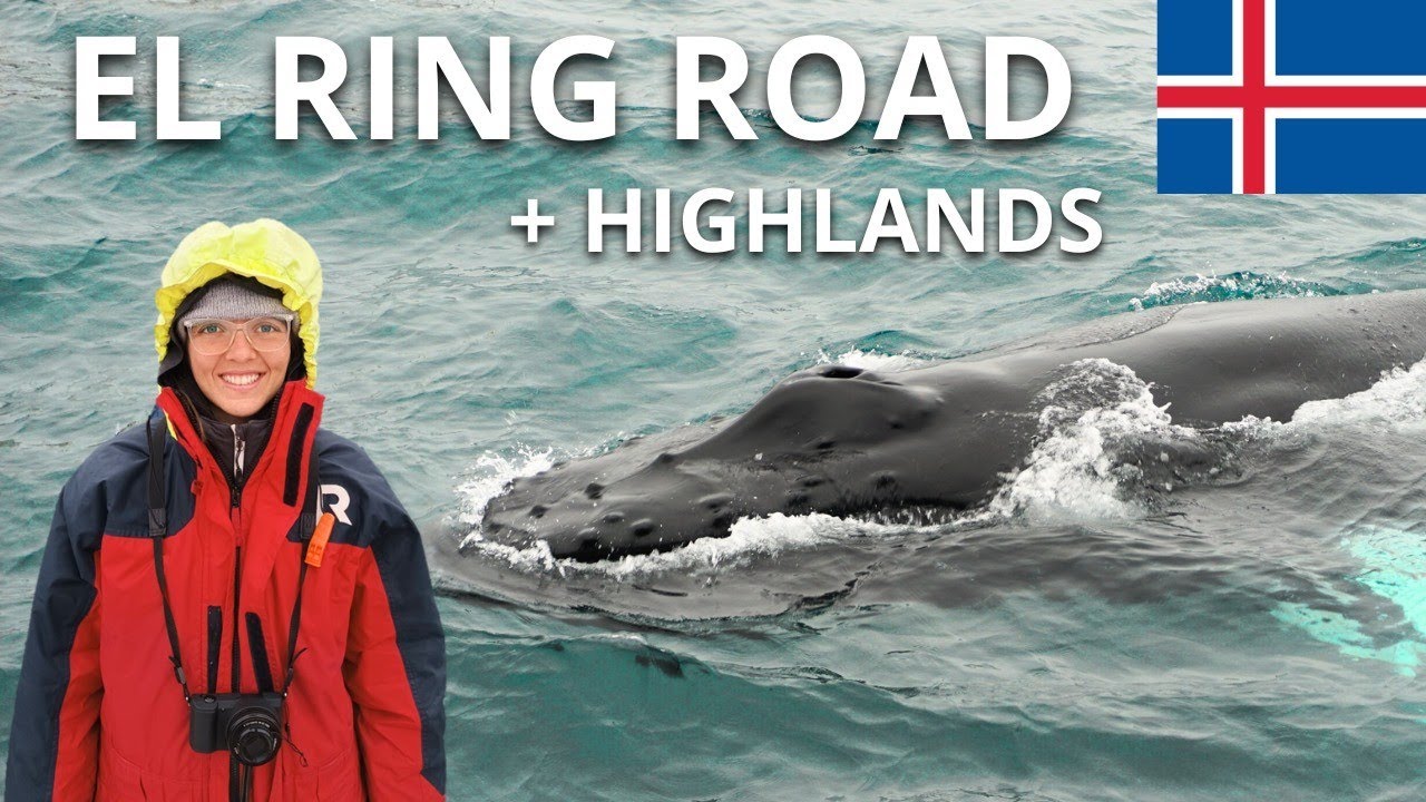 El RING ROAD: muchas ballenas, termas, fiordos y cascadas 🚐♨️🐋🏕️🇮🇸