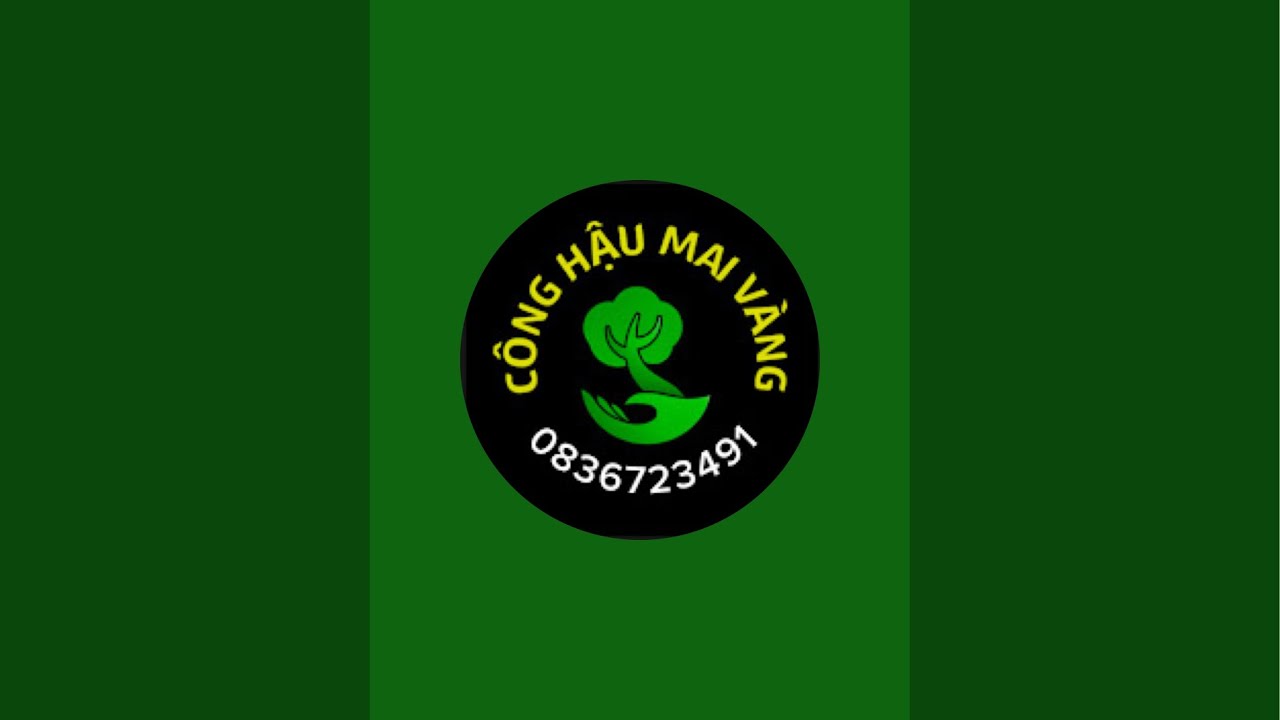 Công Hậu Mai Vàng 71 đang phát trực tiếp!