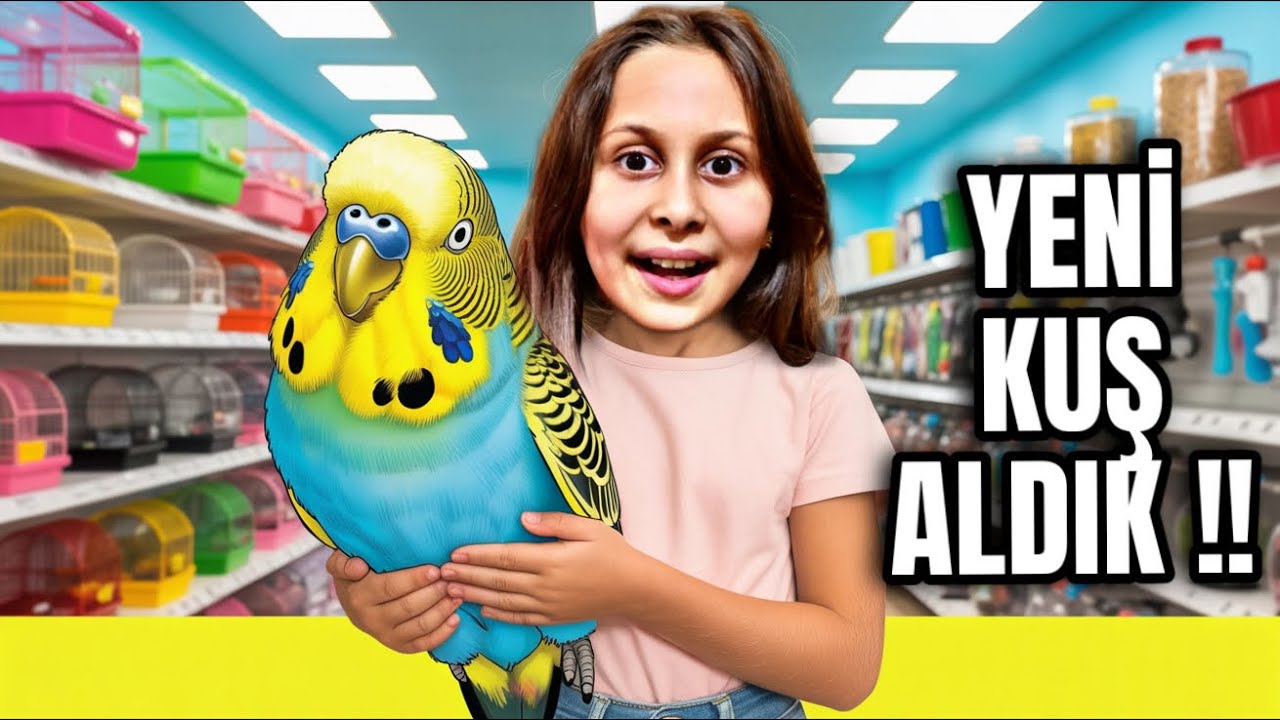 YENİ KUŞ ALDIK!! ALEX’E SÜRPRİZ ARKADAŞ 🐦💛 | RÜYA SEDALI