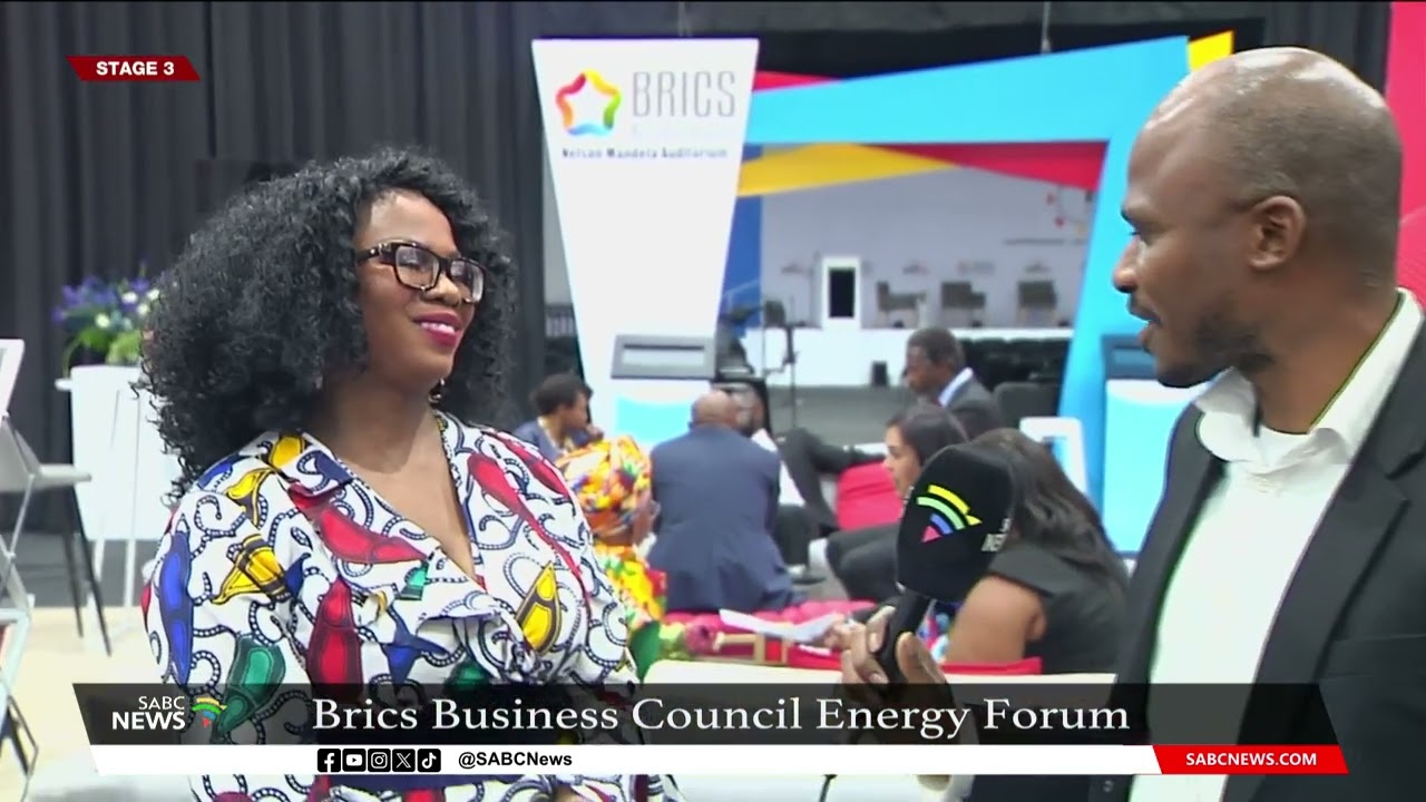 BRICS Business Council | Risk allocation debated in government-private sector ventures